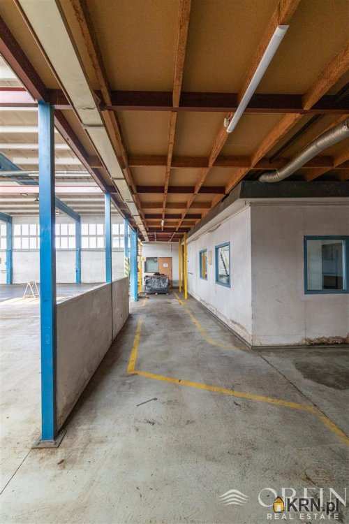 Lokal użytkowy  do wynajęcia, , Pruszcz Gdański, ul. Obrońców Westerplatte