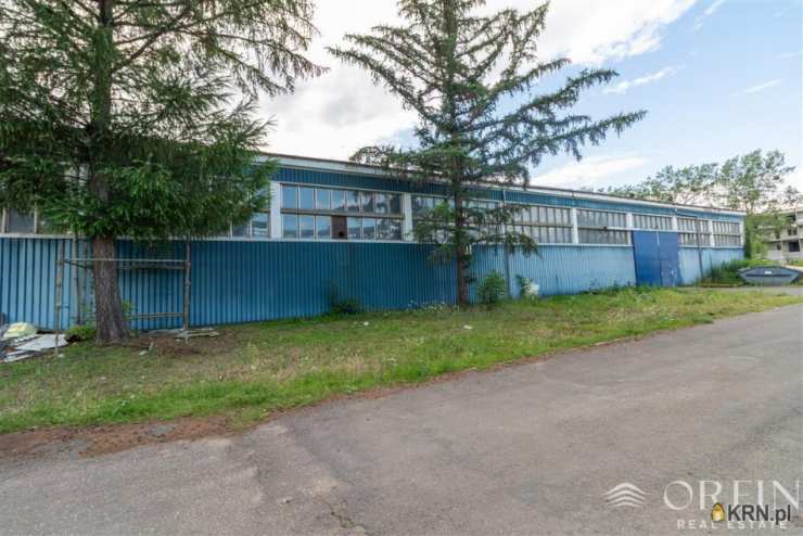 Pruszcz Gdański, ul. Obrońców Westerplatte, Lokal użytkowy  do wynajęcia, 