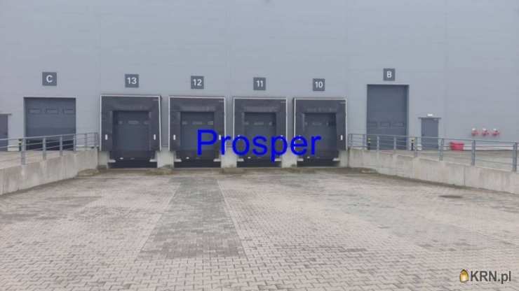 Lokal użytkowy  do wynajęcia, Katowice, ul. , 