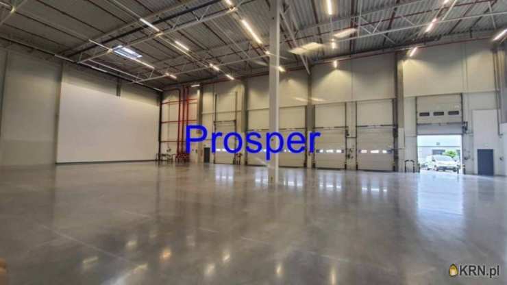 Lokal użytkowy  do wynajęcia, , Katowice, ul. 