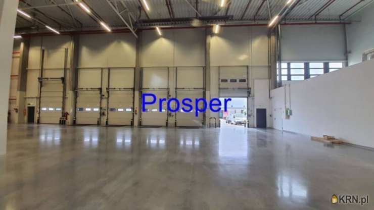 Katowice, ul. , Lokal użytkowy  do wynajęcia, 