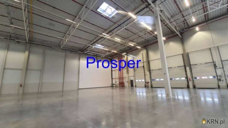 Katowice, ul. , , Lokal użytkowy  do wynajęcia