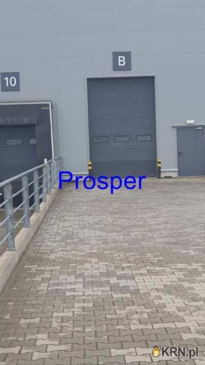 , Lokal użytkowy  do wynajęcia, Katowice, ul. 