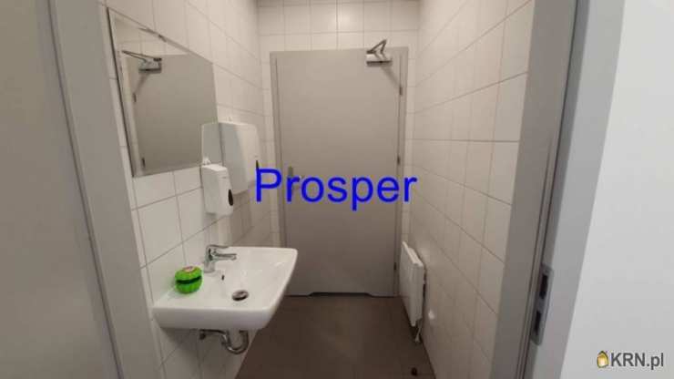 Katowice, ul. , , Lokal użytkowy  do wynajęcia