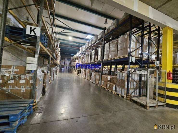 Lokal użytkowy  do wynajęcia, Tychy, ul. , 