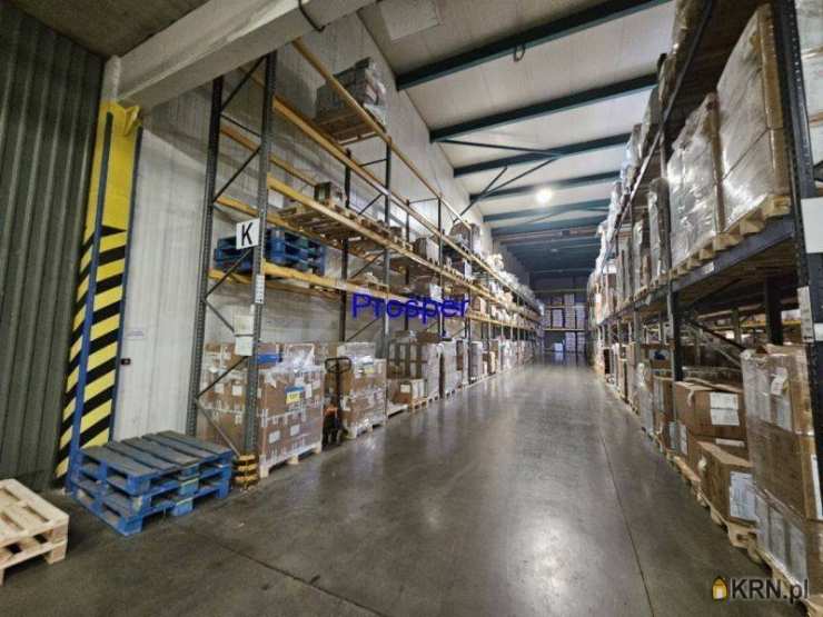 Tychy, ul. , Lokal użytkowy  do wynajęcia, 