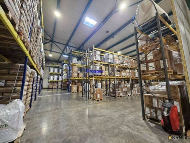 Tychy, ul. , , Lokal użytkowy  do wynajęcia