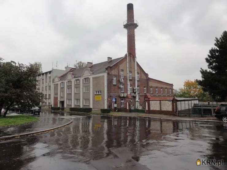 Lokal użytkowy  na sprzedaż, Brzeg, ul. , 