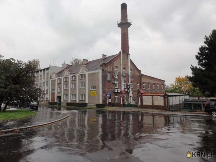 Lokal użytkowy  na sprzedaż, Brzeg, ul. , 