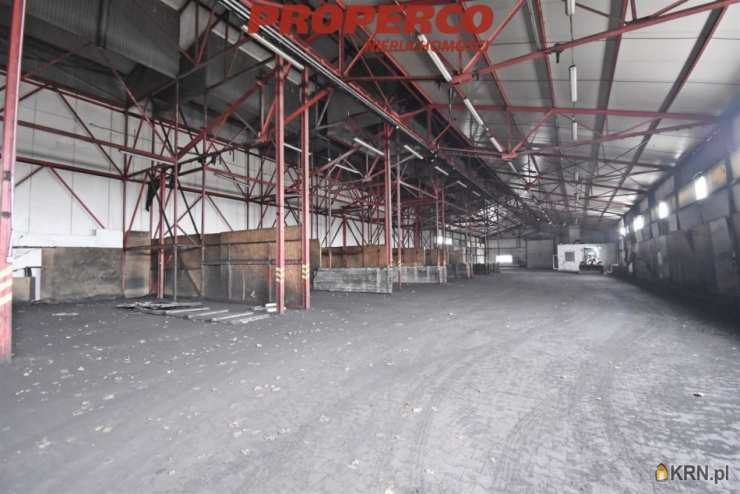 Kielce, Czarnów, ul. , Lokal użytkowy  do wynajęcia, 