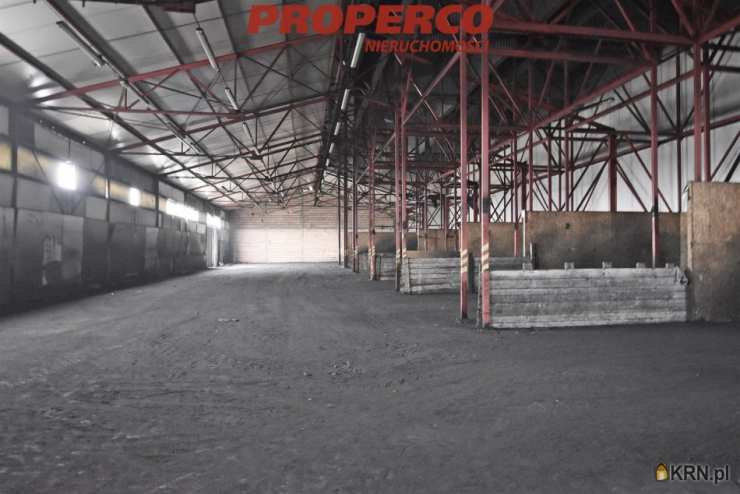 Kielce, Czarnów, ul. , , Lokal użytkowy  do wynajęcia