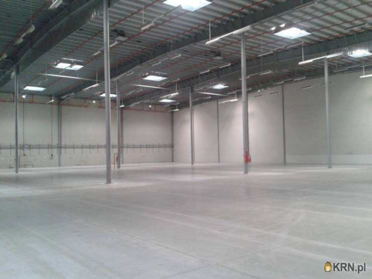 Kutno, ul. , Lokal użytkowy  do wynajęcia, 