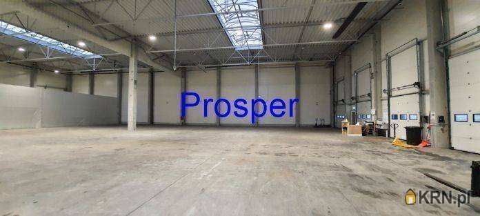 Pszczyna, ul. , Lokal użytkowy  do wynajęcia, 