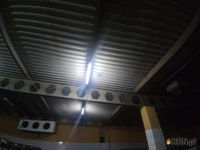 Świętochłowice, ul. , 20 pokojowe, Lokal użytkowy  do wynajęcia