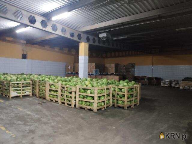 Świętochłowice, ul. , Lokal użytkowy  do wynajęcia, 20 pokojowe