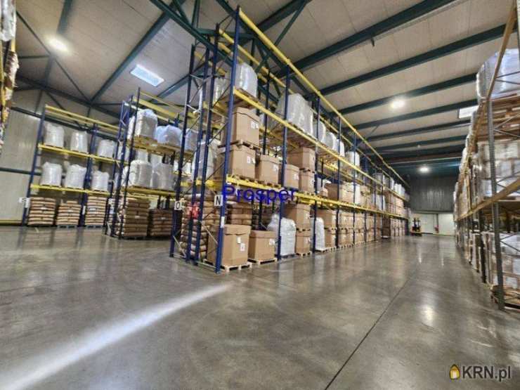 Lokal użytkowy  do wynajęcia, , Tychy, ul. 