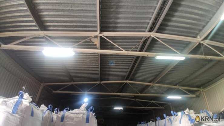 Lokal użytkowy  do wynajęcia, Zabrze, ul. , 2 pokojowe