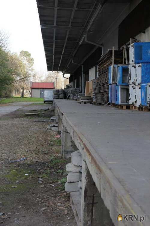 Lokal użytkowy  do wynajęcia, Będzin, ul. T. Kościuszki, 