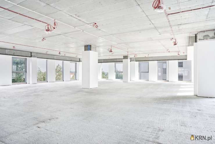 Rzeszów, Staromieście, ul. , Lokal użytkowy  do wynajęcia, 