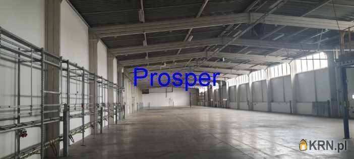 Lokal użytkowy  do wynajęcia, Dąbrowa Górnicza, ul. , 