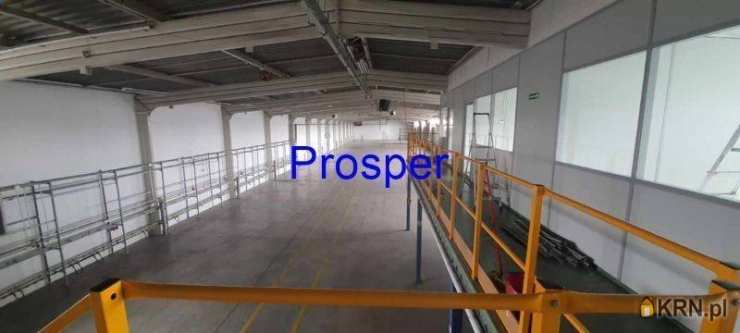 Lokal użytkowy  do wynajęcia, , Dąbrowa Górnicza, ul. 