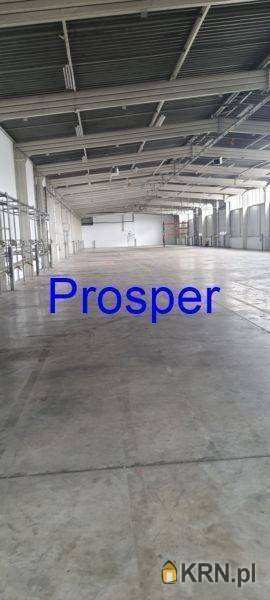 Dąbrowa Górnicza, ul. , Lokal użytkowy  do wynajęcia, 