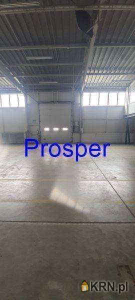 Dąbrowa Górnicza, ul. , , Lokal użytkowy  do wynajęcia