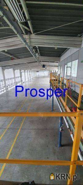 , Dąbrowa Górnicza, ul. , Lokal użytkowy  do wynajęcia