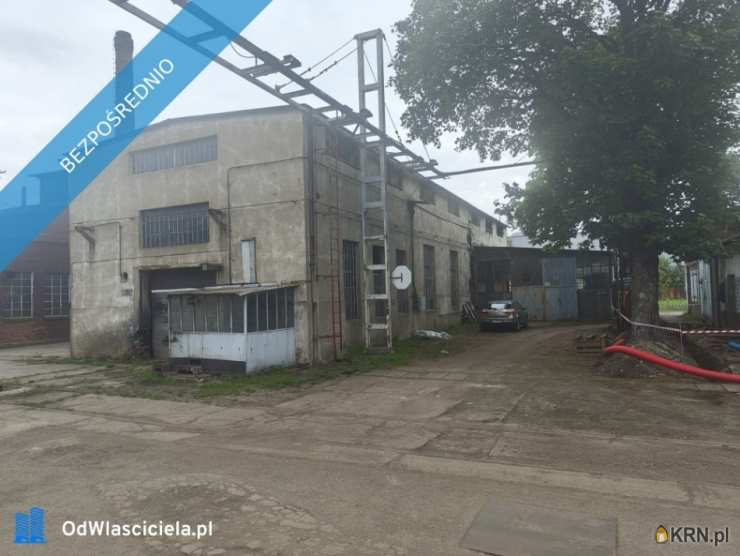 Lokal użytkowy  na sprzedaż, Opole, ul. T. Rejtana, 