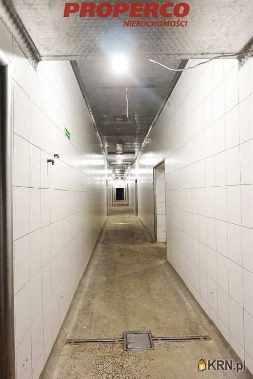 Piekoszów, ul. , Lokal użytkowy  do wynajęcia, 