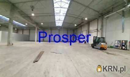 Pszczyna, ul. , , Lokal użytkowy  do wynajęcia