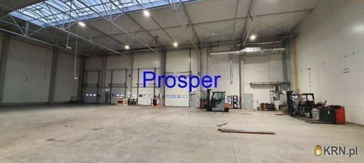 , Lokal użytkowy  do wynajęcia, Pszczyna, ul. 