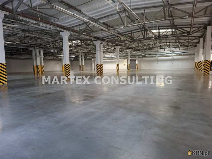 Wodzisław Śląski, ul. , , Lokal użytkowy  do wynajęcia