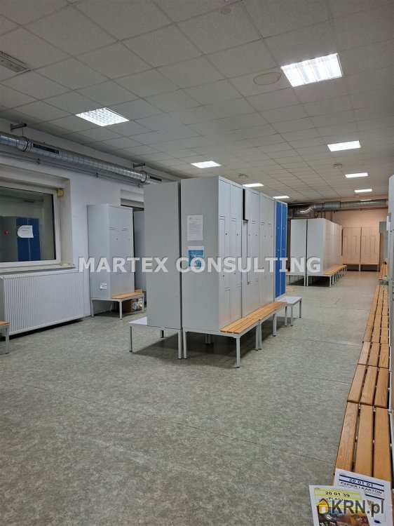 , Wodzisław Śląski, ul. , Lokal użytkowy  do wynajęcia