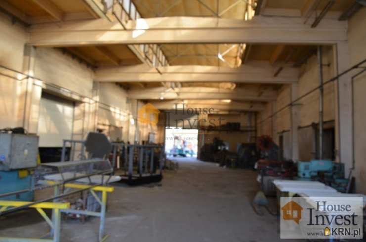 5 pokojowe, Legnica, ul. , Lokal użytkowy  na sprzedaż