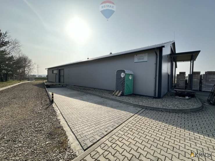 , Rudziczka, ul. , Lokal użytkowy  na sprzedaż