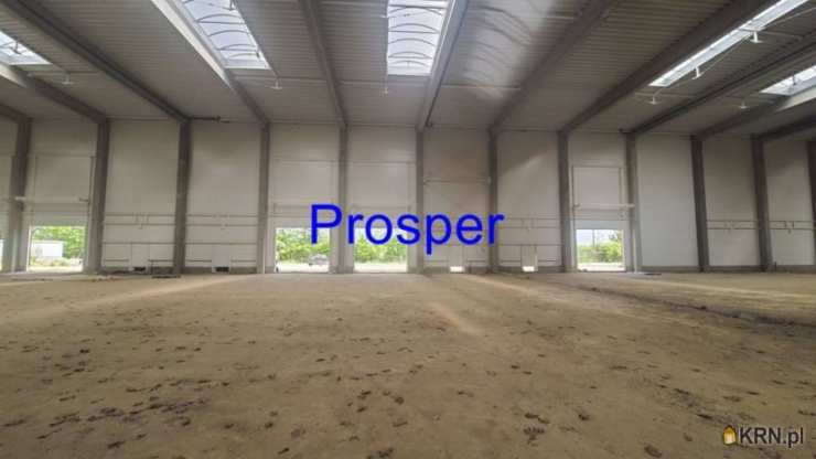 Gliwice, ul. , Lokal użytkowy  do wynajęcia, 