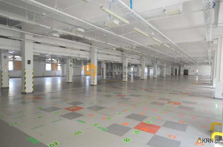 Lokal użytkowy  do wynajęcia, Legnica, ul. , 