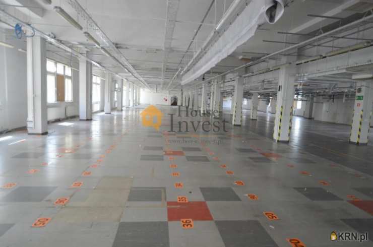 Legnica, ul. , Lokal użytkowy  do wynajęcia, 