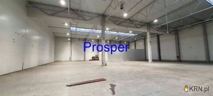 Lokal użytkowy  do wynajęcia, , Pszczyna, ul. 