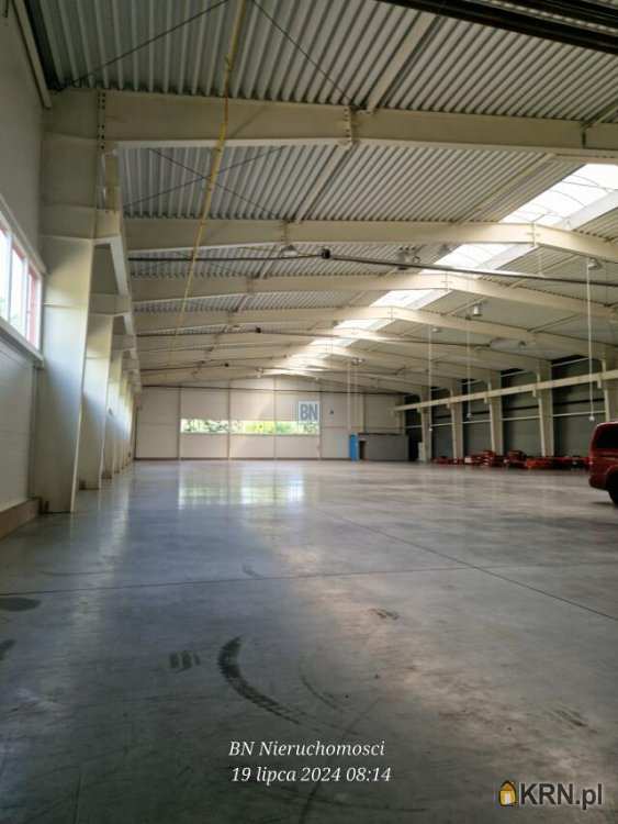 Lokal użytkowy  do wynajęcia, 2 pokojowe, Strzelce Opolskie, ul. 