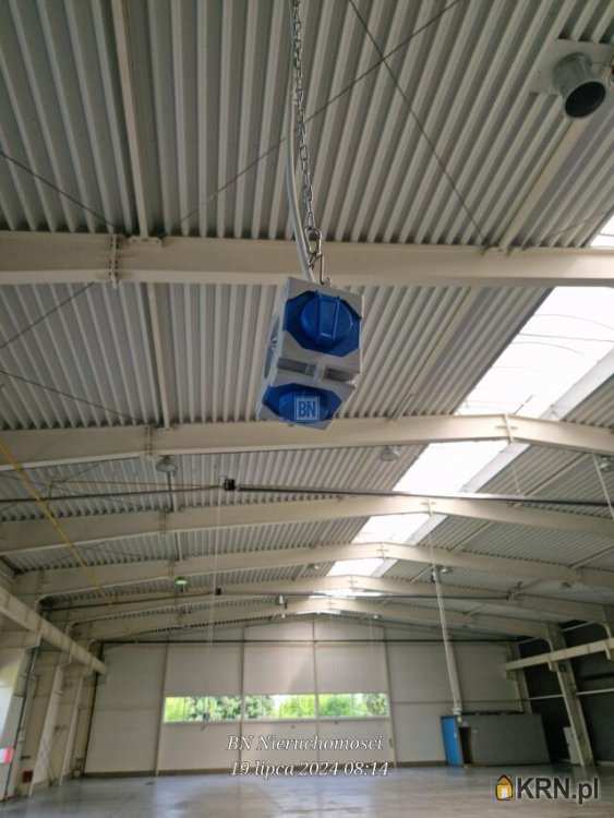 2 pokojowe, Lokal użytkowy  do wynajęcia, Strzelce Opolskie, ul. 