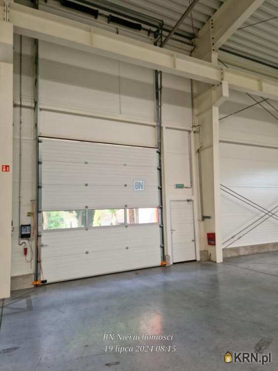 Lokal użytkowy  do wynajęcia, Strzelce Opolskie, ul. , 2 pokojowe