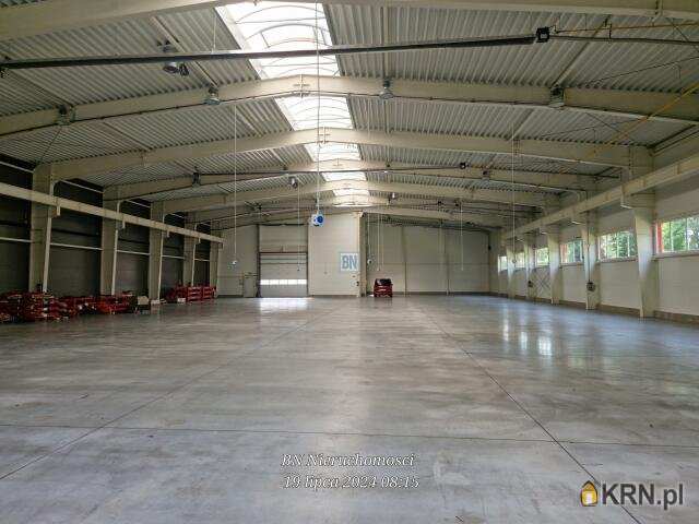 Strzelce Opolskie, ul. , 2 pokojowe, Lokal użytkowy  do wynajęcia