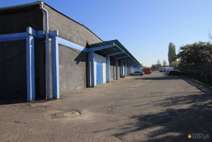 REAL ESTATE DEVELOPMENT COMPANY SPÓŁKA Z O.O. , Lokal użytkowy  do wynajęcia, Radom, ul. Chorzowska