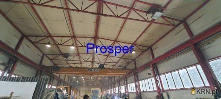 Lokal użytkowy  do wynajęcia, Zabrze, ul. , 