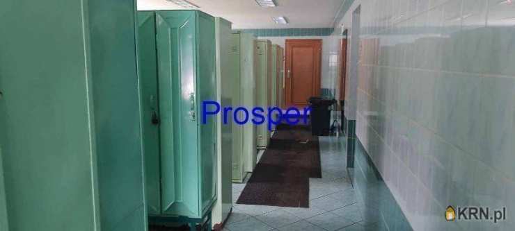 Zabrze, ul. , Lokal użytkowy  do wynajęcia, 