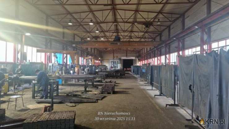 Lokal użytkowy  do wynajęcia, Zabrze, ul. , 