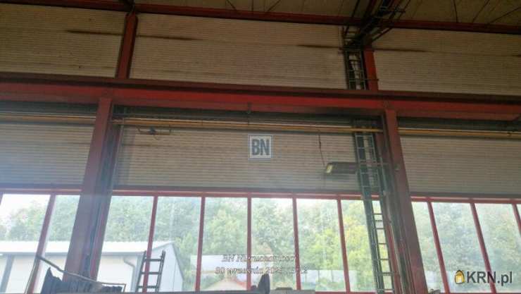 Zabrze, ul. , Lokal użytkowy  do wynajęcia, 