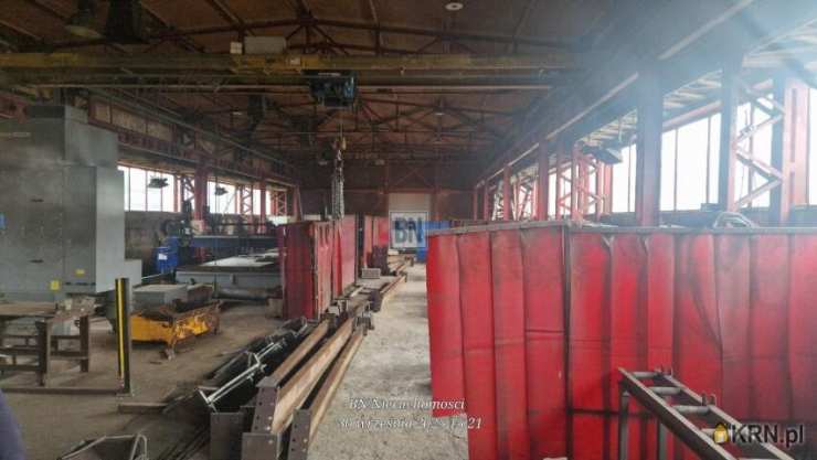 Zabrze, ul. , , Lokal użytkowy  do wynajęcia